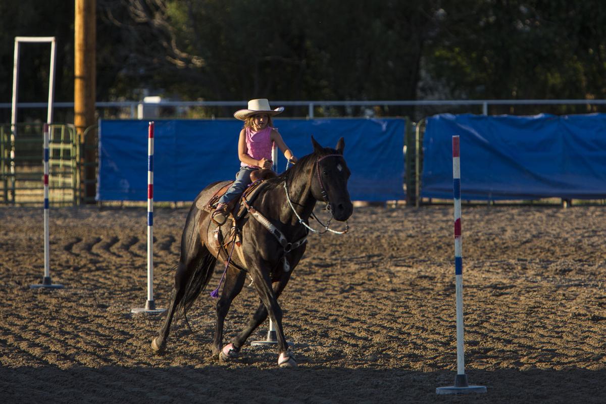 Pavillion Kid Rodeo