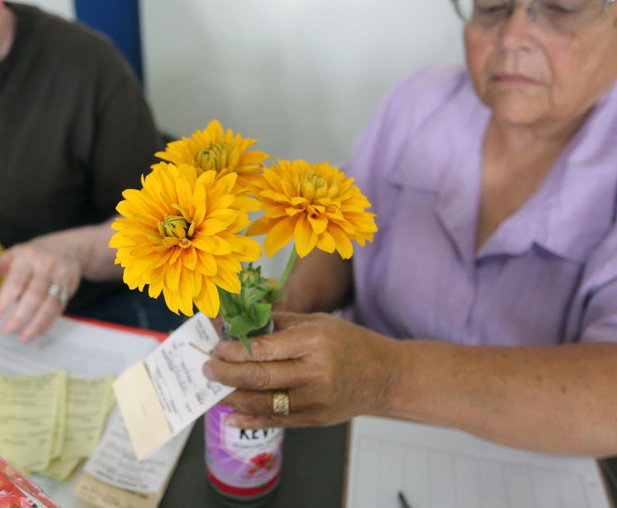 From Pies To Pickles Central Wyoming Fair Exhibits Showcase Community Talent Casper Trib Com