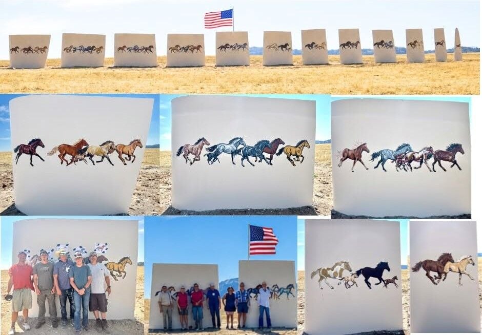 Windborne Wyoming Mustangs.jpg