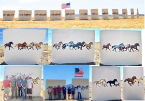 Windborne Wyoming Mustangs.jpg