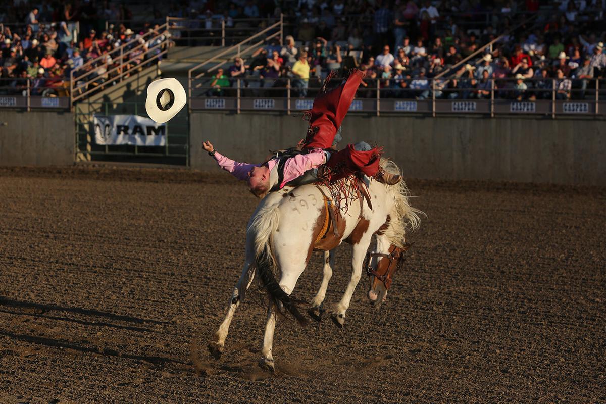 Rodeo Finals