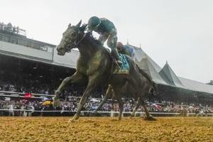 HORSERACING/