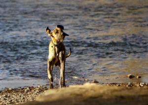 The hottest September in Wyoming history may surprise you