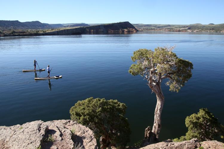 Live Well: Paddle Boarding
