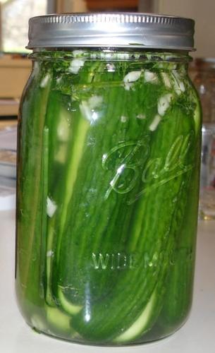 Fermented pickles