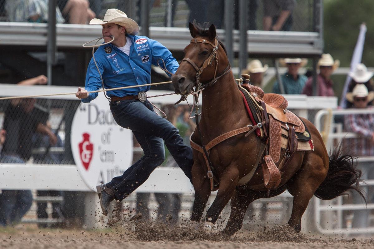 Pro Rodeo Tie Down Ropers Steer Wrestlers Plan To Boycott Cheyenne Frontier Days Rodeo Trib Com