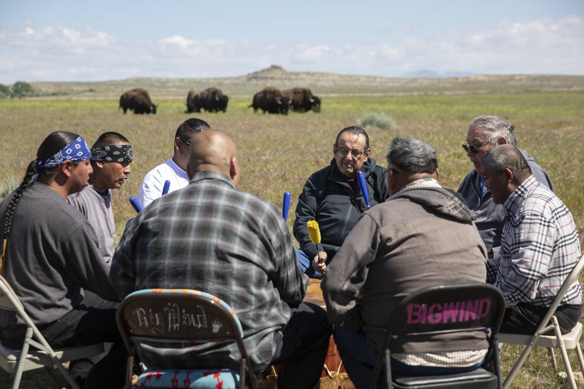 Buffalo