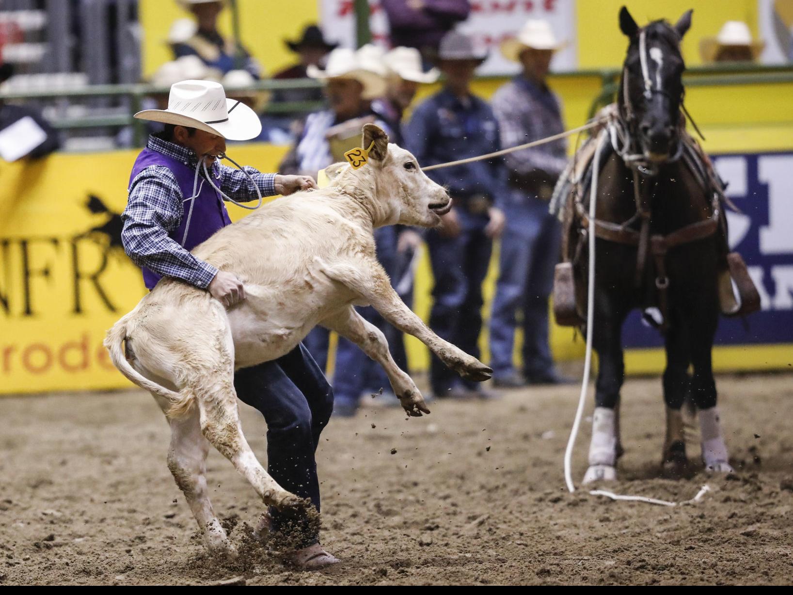 Tie Down Roping Shapes Up To Be Battle Between Traveling Buddies Meged Harris Rodeo Trib Com