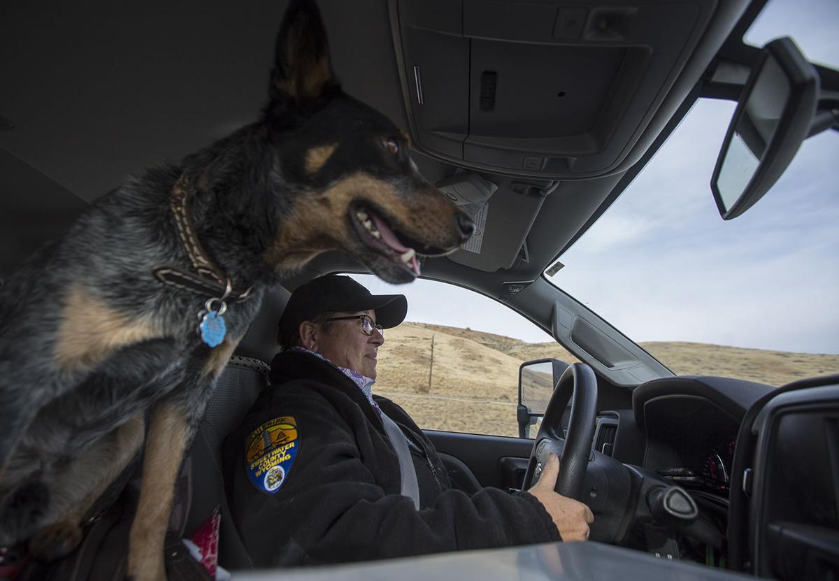 10,000 square miles. Thousands of critters. One animal control officer
