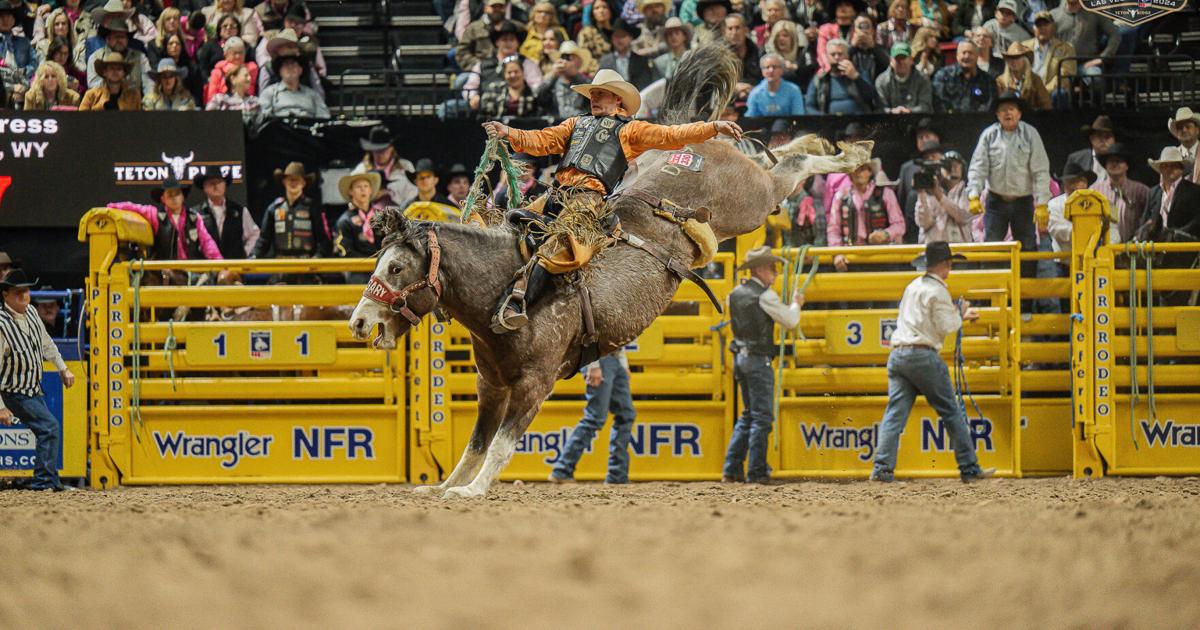Bhrs Rodeo Hillsdale's Brody Cress ties for 2nd in Round 6 of NFR