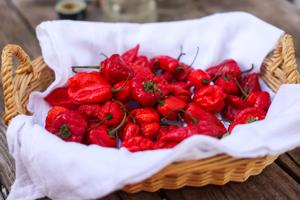 Not Your Mama's Salsa
