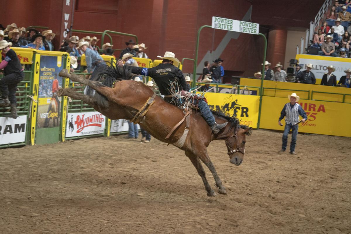 Pro rodeo PRCA/WPRA standings through June 18