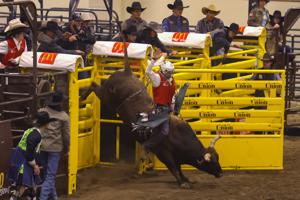 Laramie River Rendezvous Rodeo