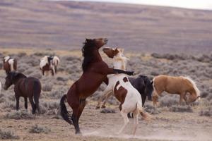 July 1 recap: Wyoming news you may have missed today