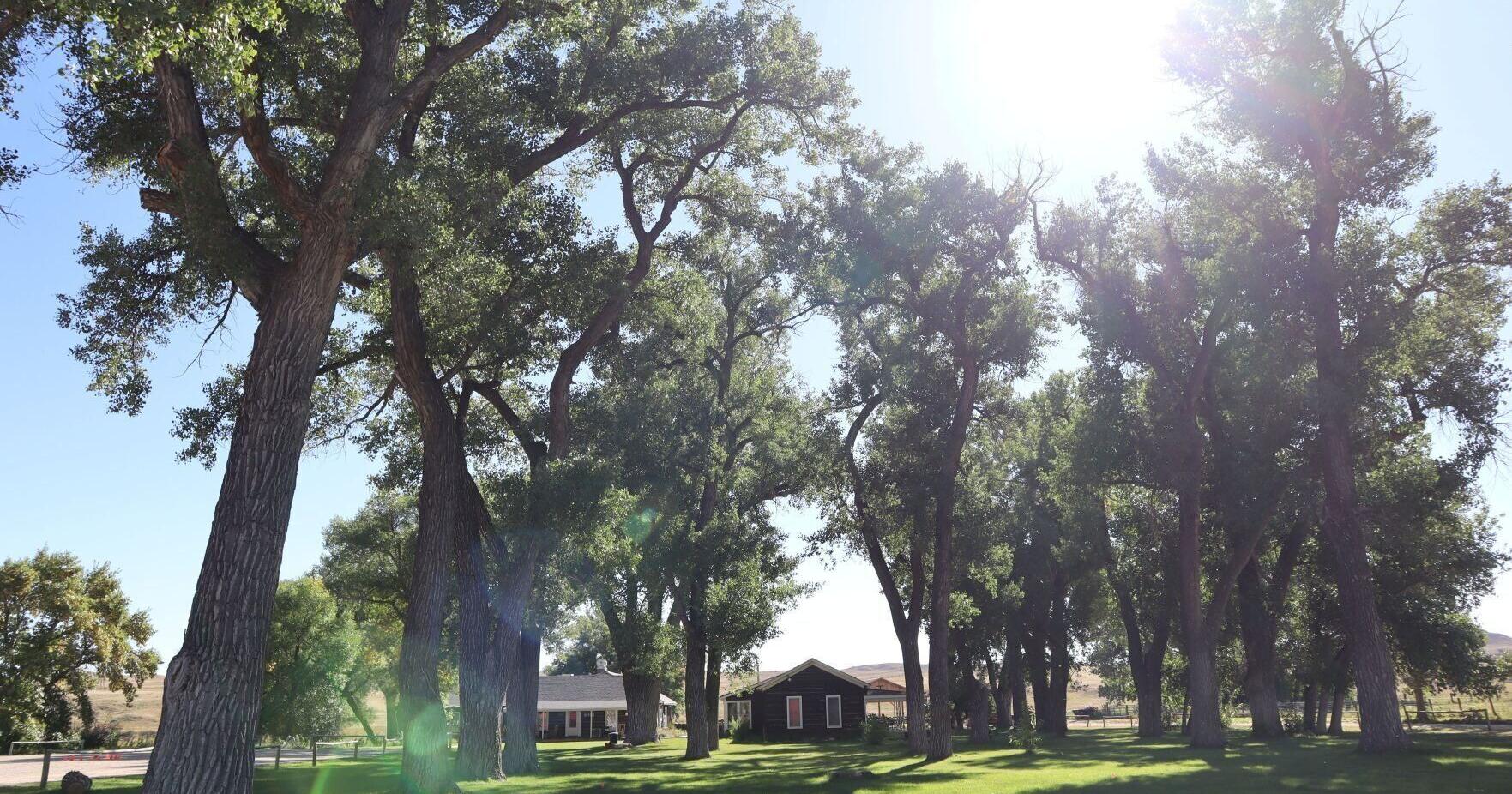 Johnson County War was fought at Wyoming's TA guest ranch - Vimarsana News
