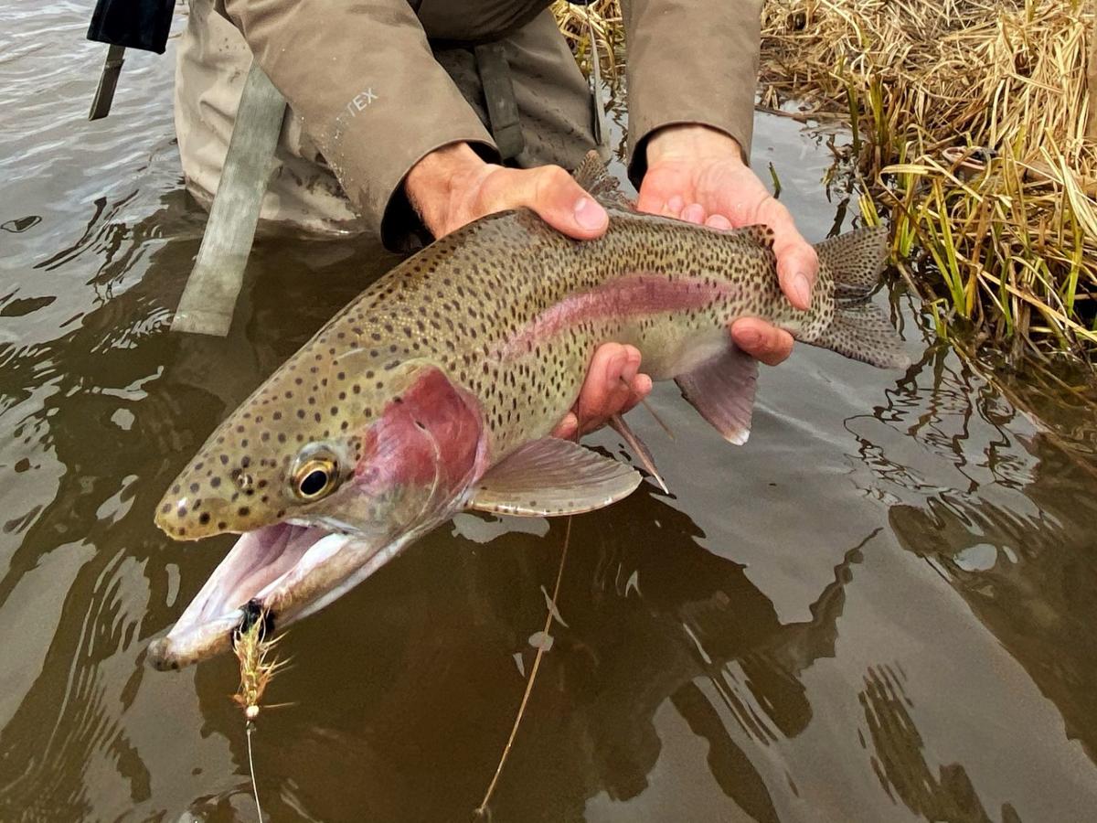Wallpaper With Many Rodeos Festivals And Summer Camps Canceled Now S The Perfect Time To Fish Wyoming News Trib Com For iPhone