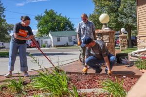 Volunteer Day