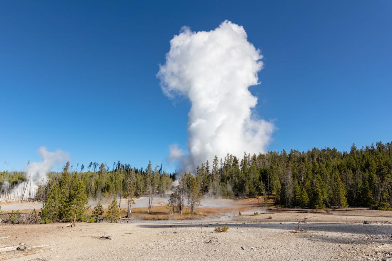 World's tallest geyser erupts once again in Yellowstone, setting new record