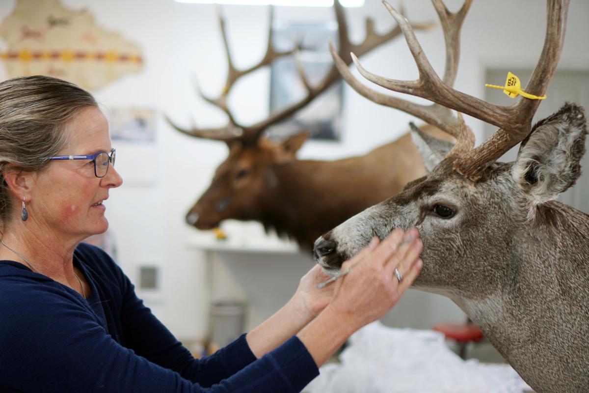 Lander Taxidermist
