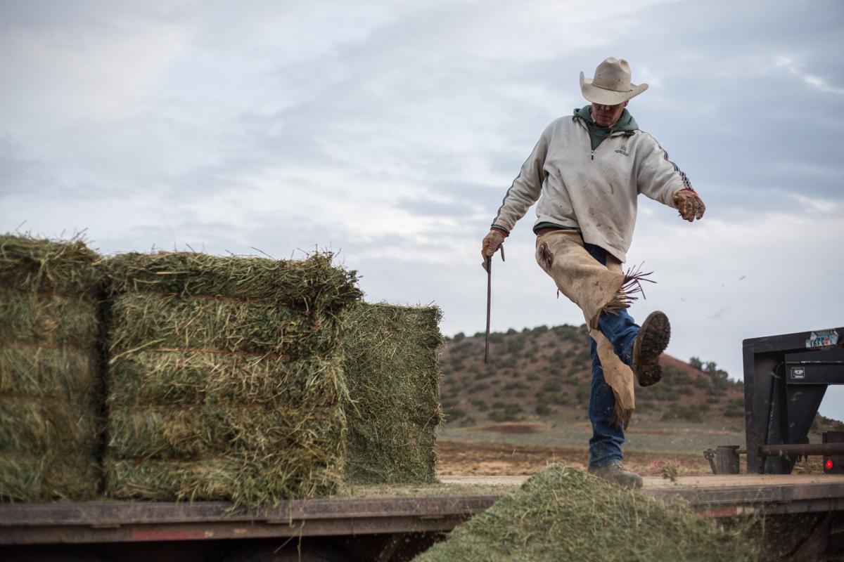 Wyoming farmers, ranchers hopeful for more precipitation Wyoming News
