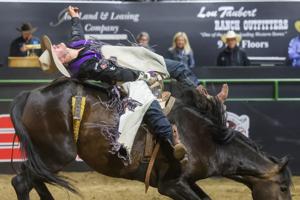 Bulls, Broncs and Breakaway