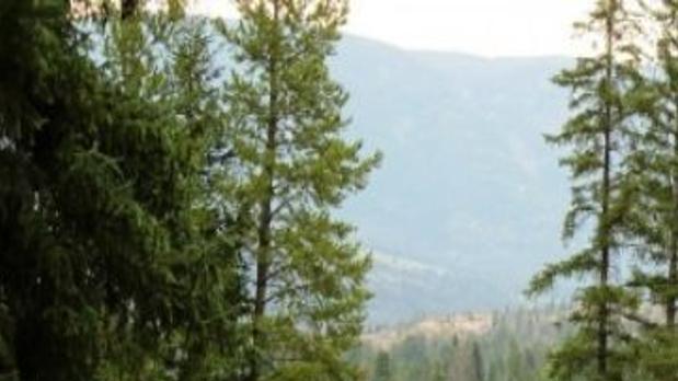 Wyoming Guest Ranch Like Stepping Back In Time Open Spaces Trib Com
