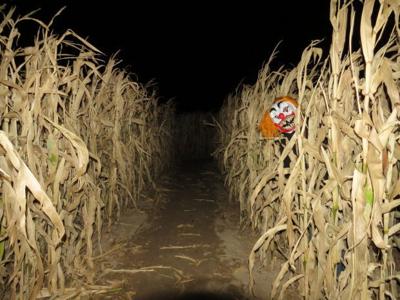 field screams corn maze haunted halloween dreams trib approaching into turns casper near