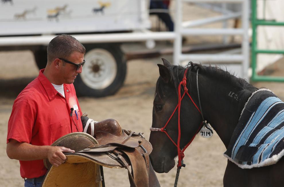 Photos At this Wyoming prison, inmates and wild horses learn from one