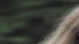New Scams In The Dark Economy News Trib Com