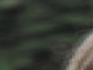 New Scams In The Dark Economy News Trib Com