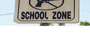 gun free zone repeal bill vetoed by governor - Vimarsana News