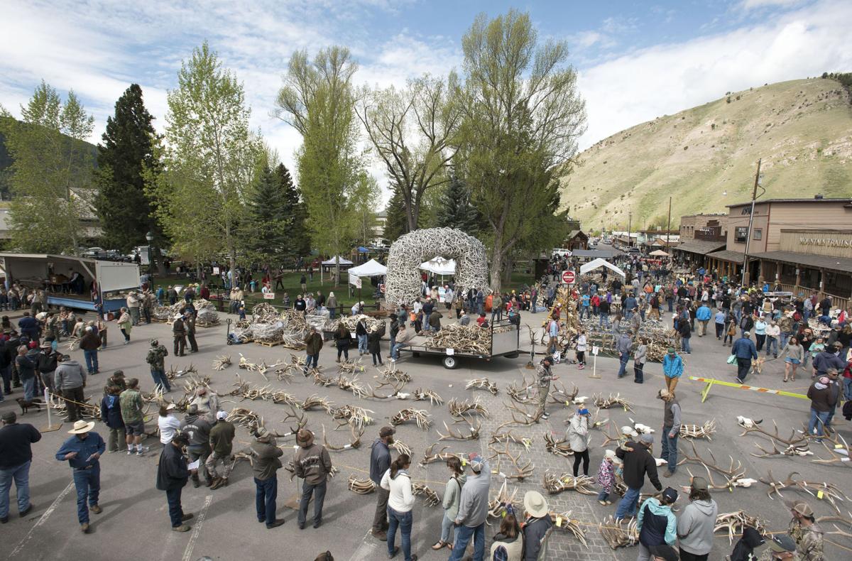 Exchange-Antler Auction