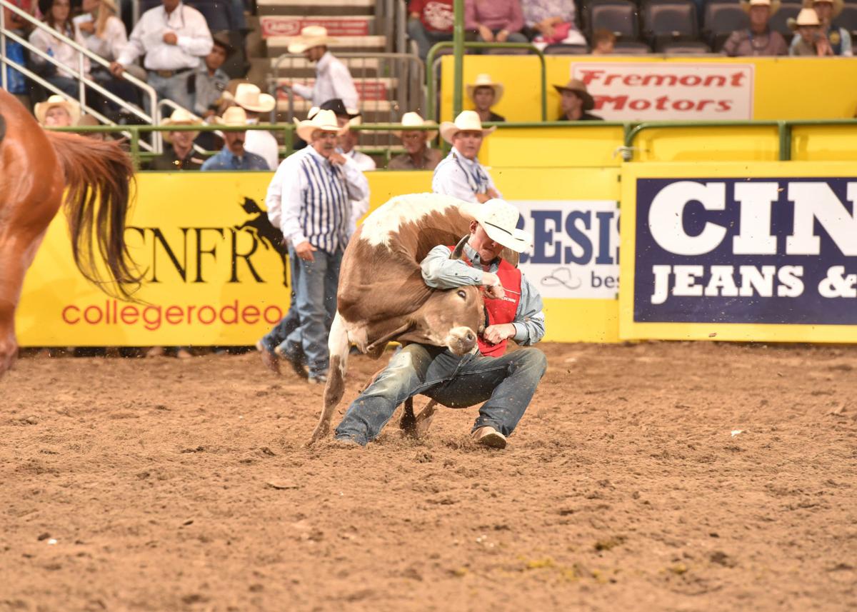 Wyoming Men S Team Looks To Continue Season Of Dominance At College Finals Pokes Authority Trib Com