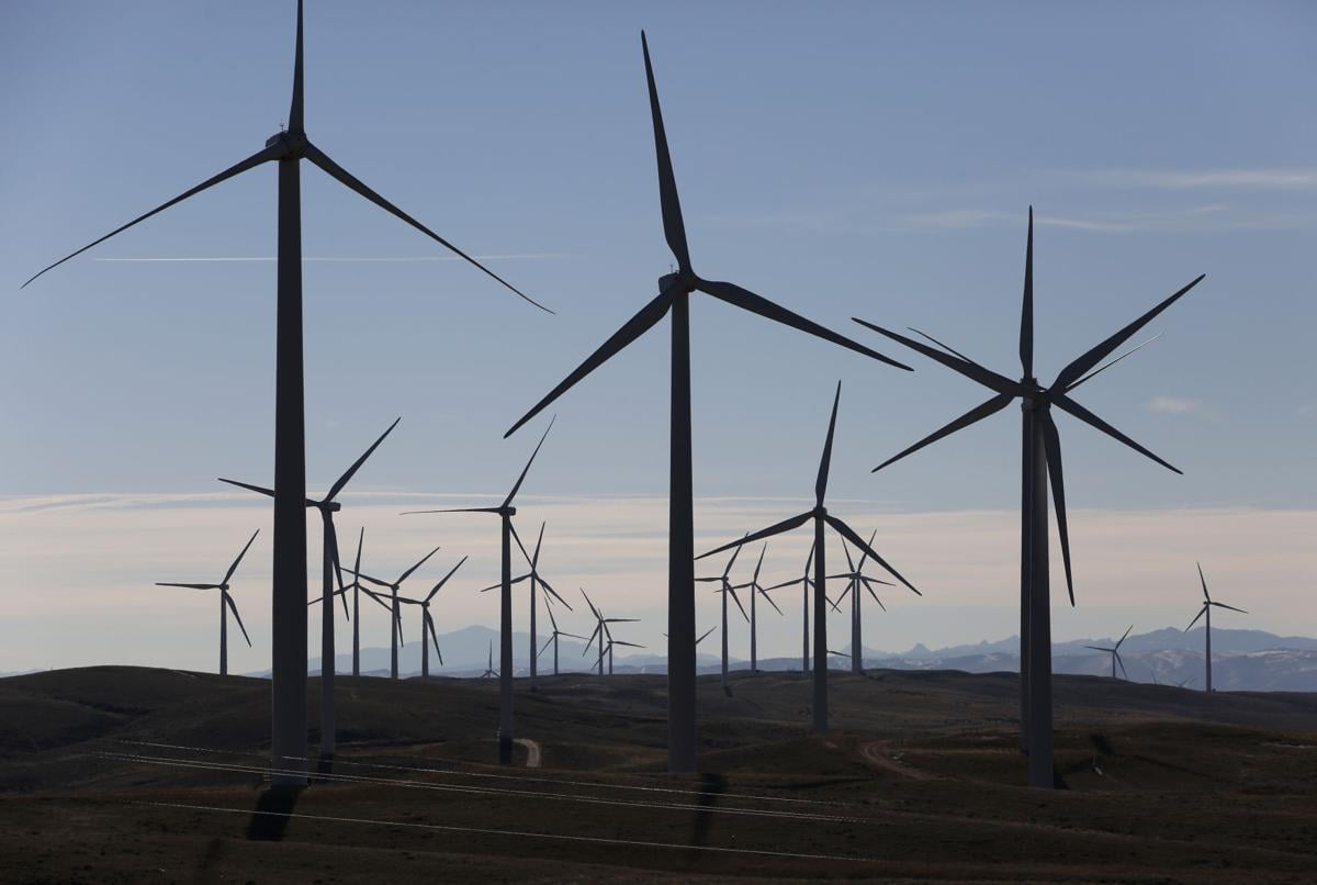 Wind Energy Eagles