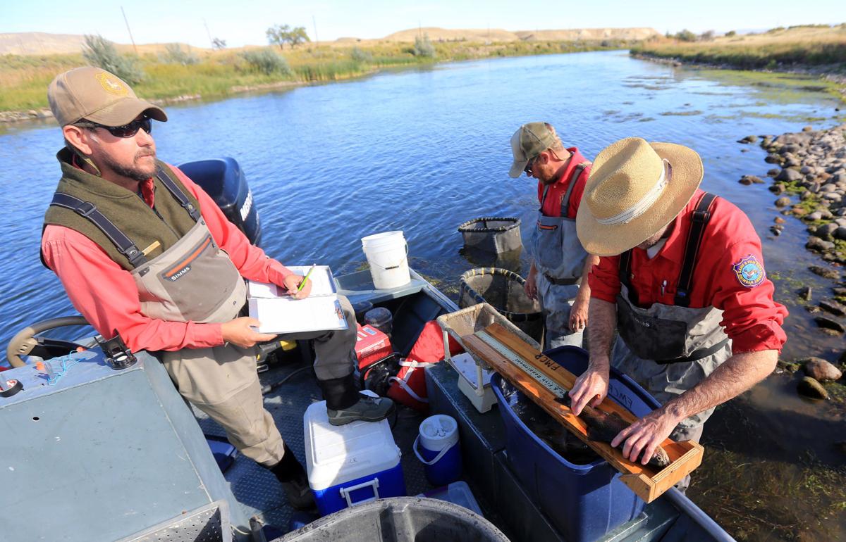 New Game and Fish report shows concern for Wyoming wildlife, fisheries