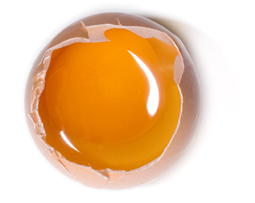 The Good Egg