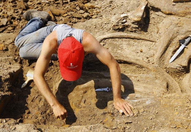 More dinosaurs found in rare triceratops dig in northeast Wyoming image image