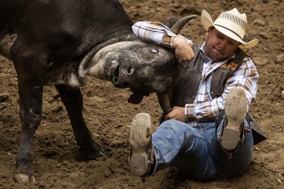 Gallery College National Finals Rodeo, Wednesday performance Rodeo
