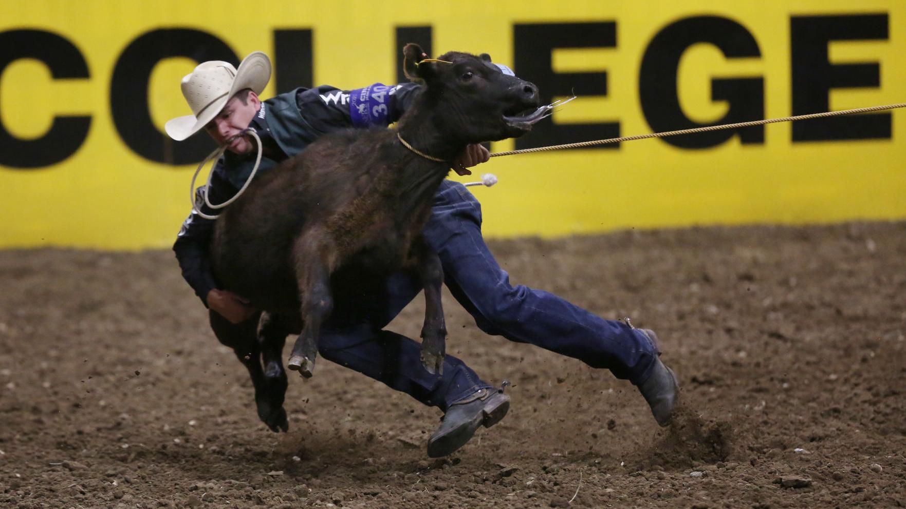Macon Murphy And Gavin Soileau Leave Cnfr As The 21 Tie Down Roping And Steer Wrestling Champions Rodeo Trib Com Macon Murphy And Gavin Soileau Leave Cnfr As The 21 Tie Down Roping And Steer Wrestling Champions Rodeo Trib Com