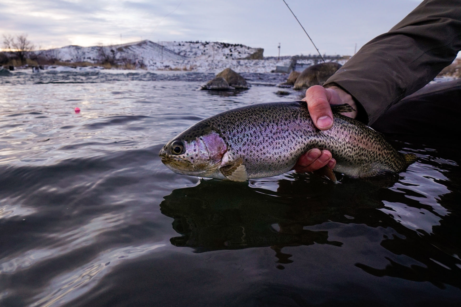 guide ti catching oregon red band fishing planet guide ti catching oregon red band fishing planet