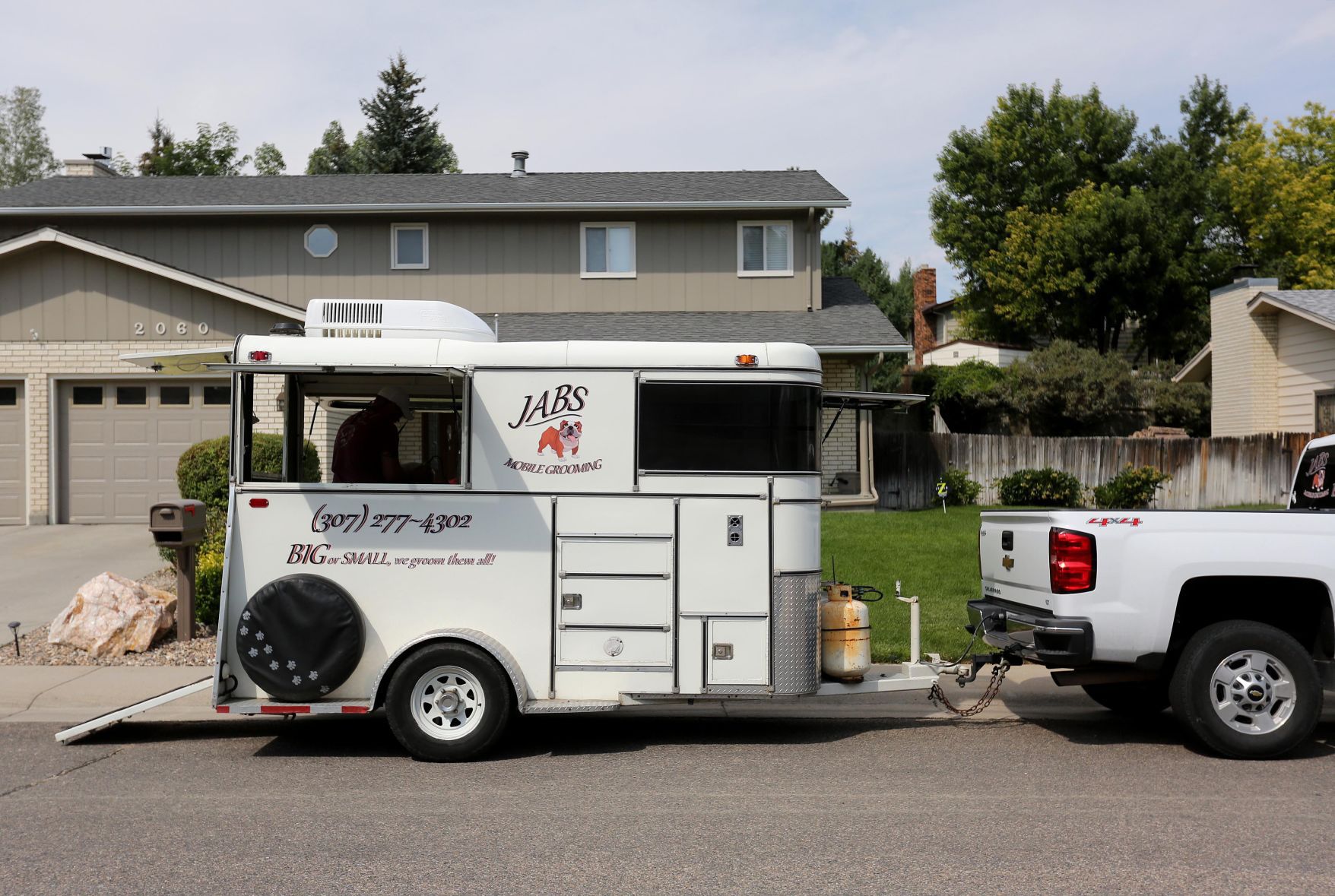 mobile grooming business