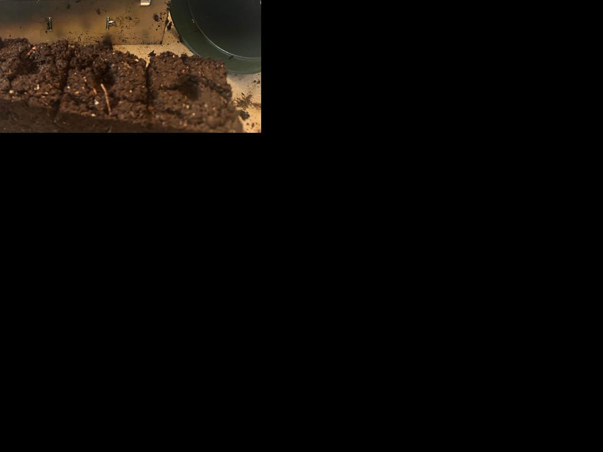 Asset-image