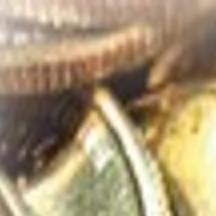 Rare Glitch In Some Wyoming Quarters Yet To Create Collecting Frenzy Wyoming News Trib Com