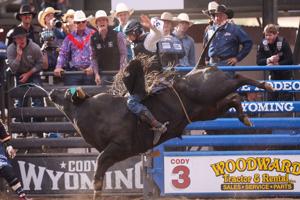 Cody Stampede Xtreme Bulls