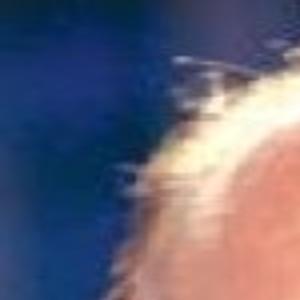 President Gerald Ford Dies At 93 News Trib Com