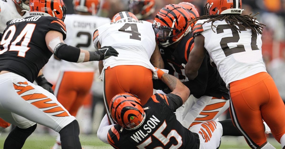 Former Wyoming linebacker Logan Wilson racks up 17 tackles in Bengals'  victory
