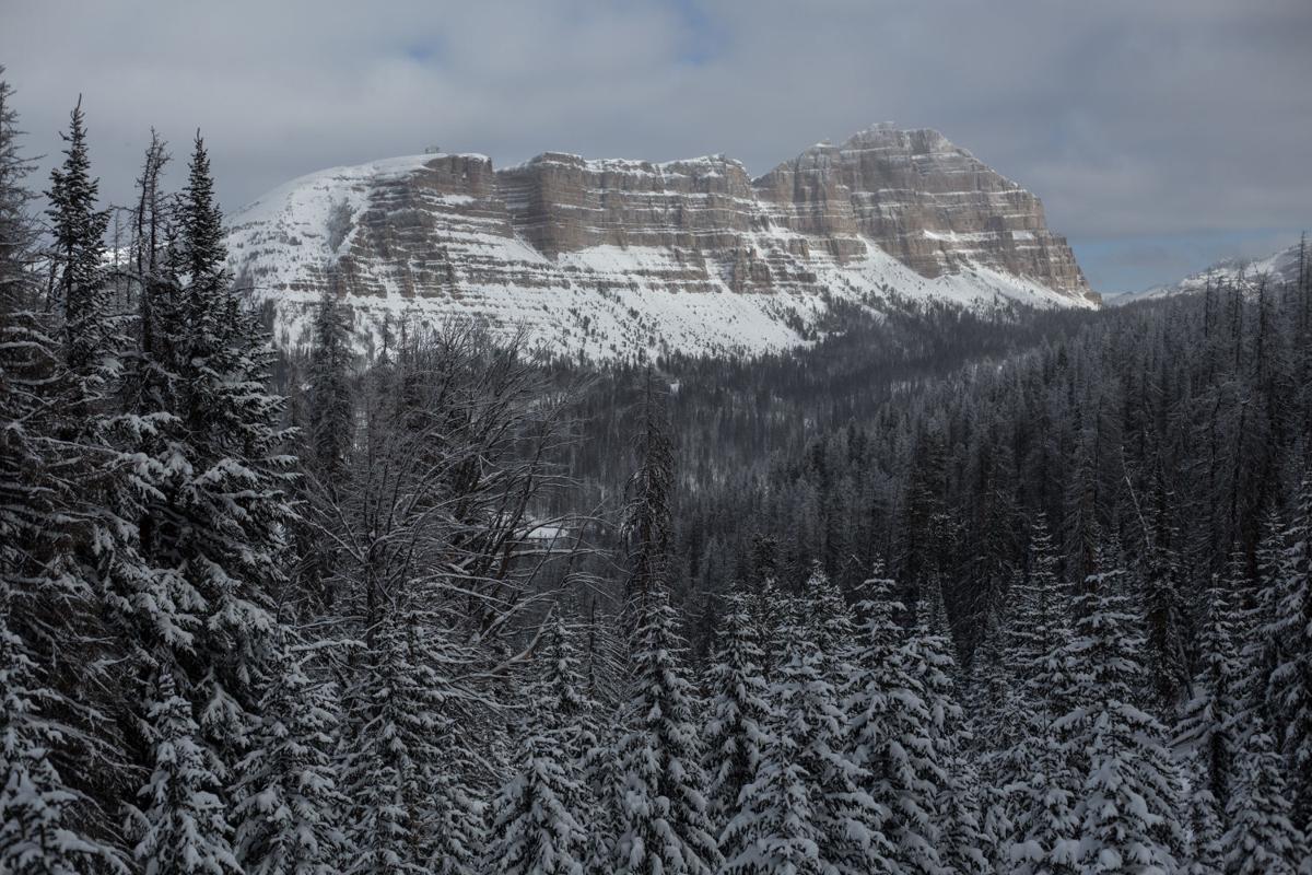 The call of winter