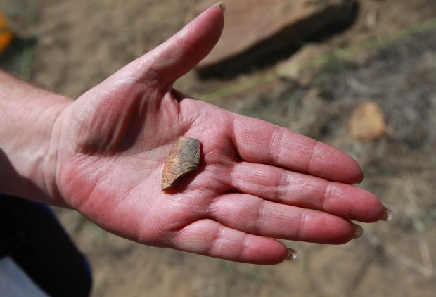 Archaeologists Begin Salvage Operation At Historic Fort Site In