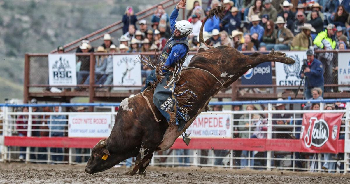 Pro Rodeo Results 2023 PRCA/WPRA world standings through July 16