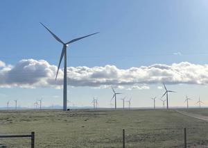 wind turbines (2).jpg